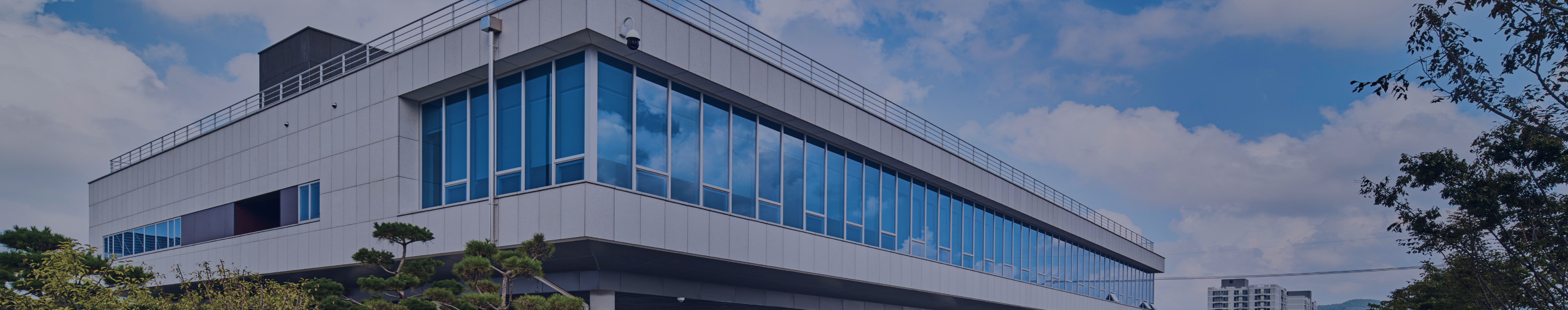 알림마당 배경화면